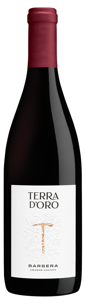 Barbera, Amador County