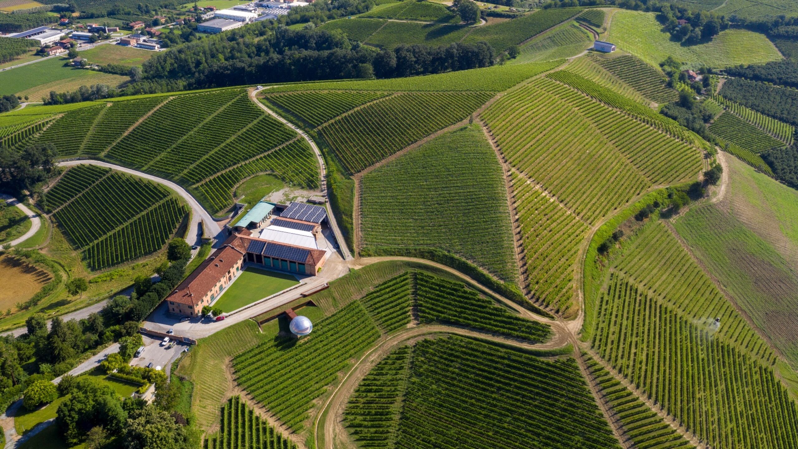 Color arial image of vineyards on rolling hills