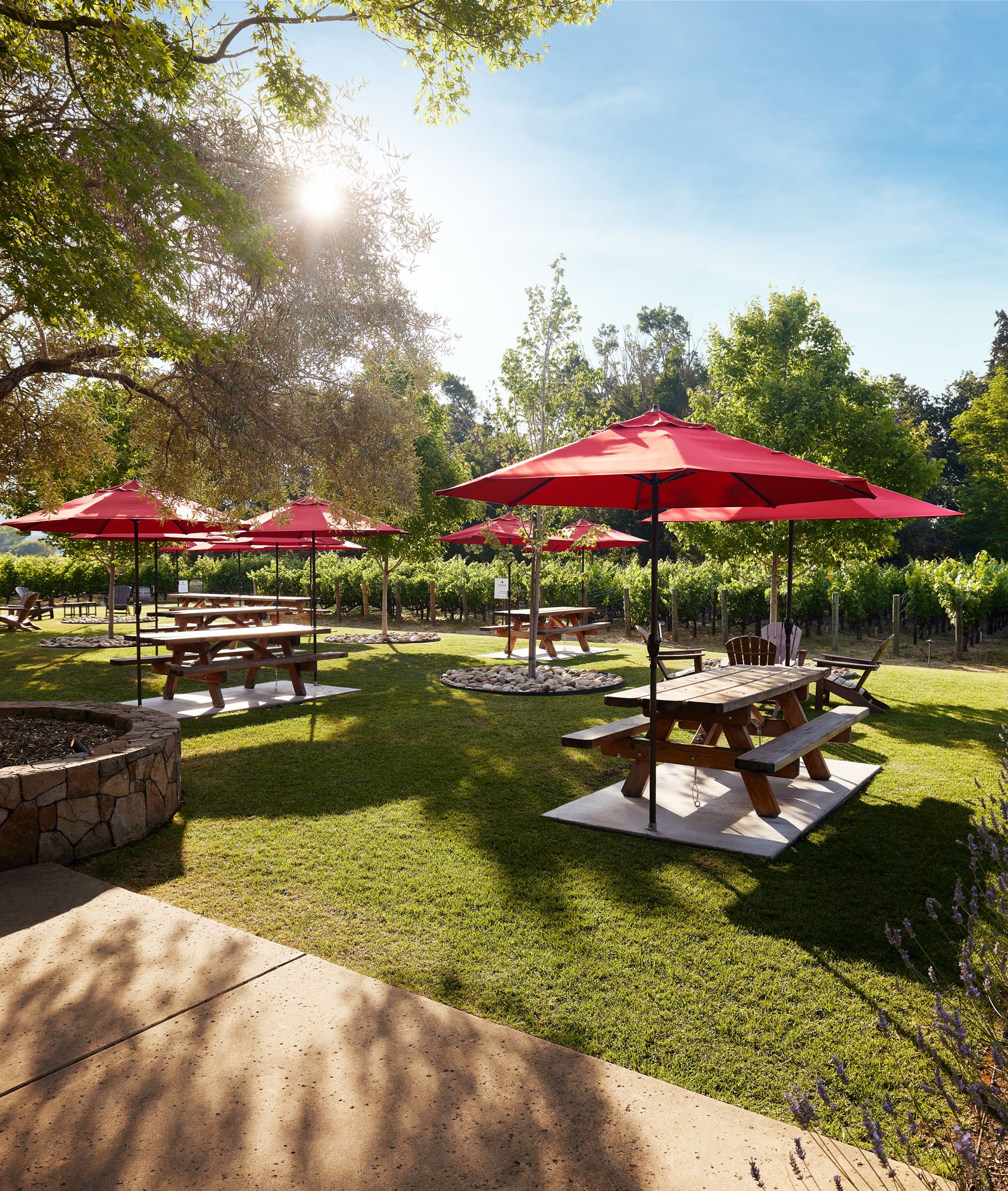 Napa Cellars