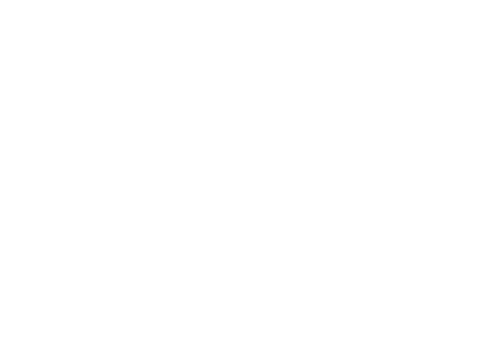 Vall Llach