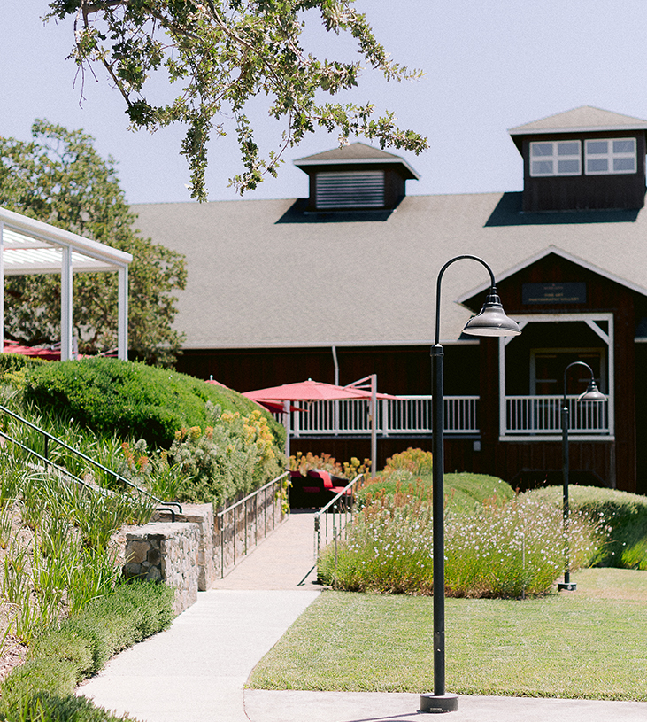 Mumm Napa