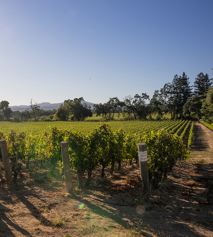 Neyers Vineyards